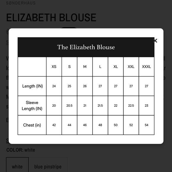 Sonderhaus Elizabeth blue pinstripe blouse - Picture 7 of 7